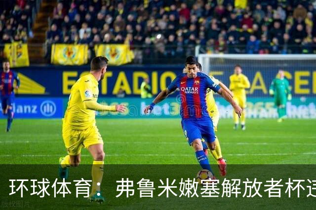 环球体育:弗鲁米嫩塞解放者杯违规被罚9万美元